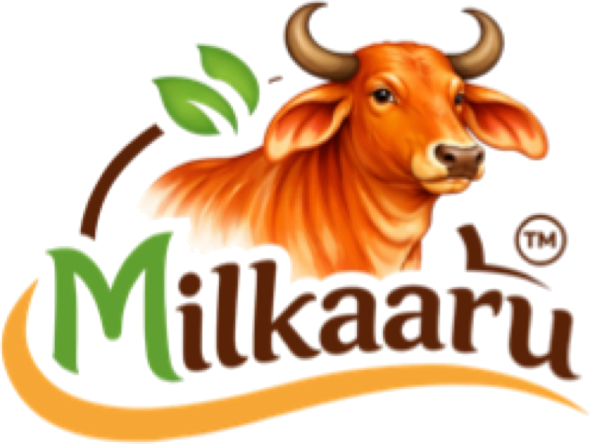 Milkaaru — Gir cow dairy