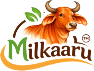 Milkaaru — Gir cow dairy